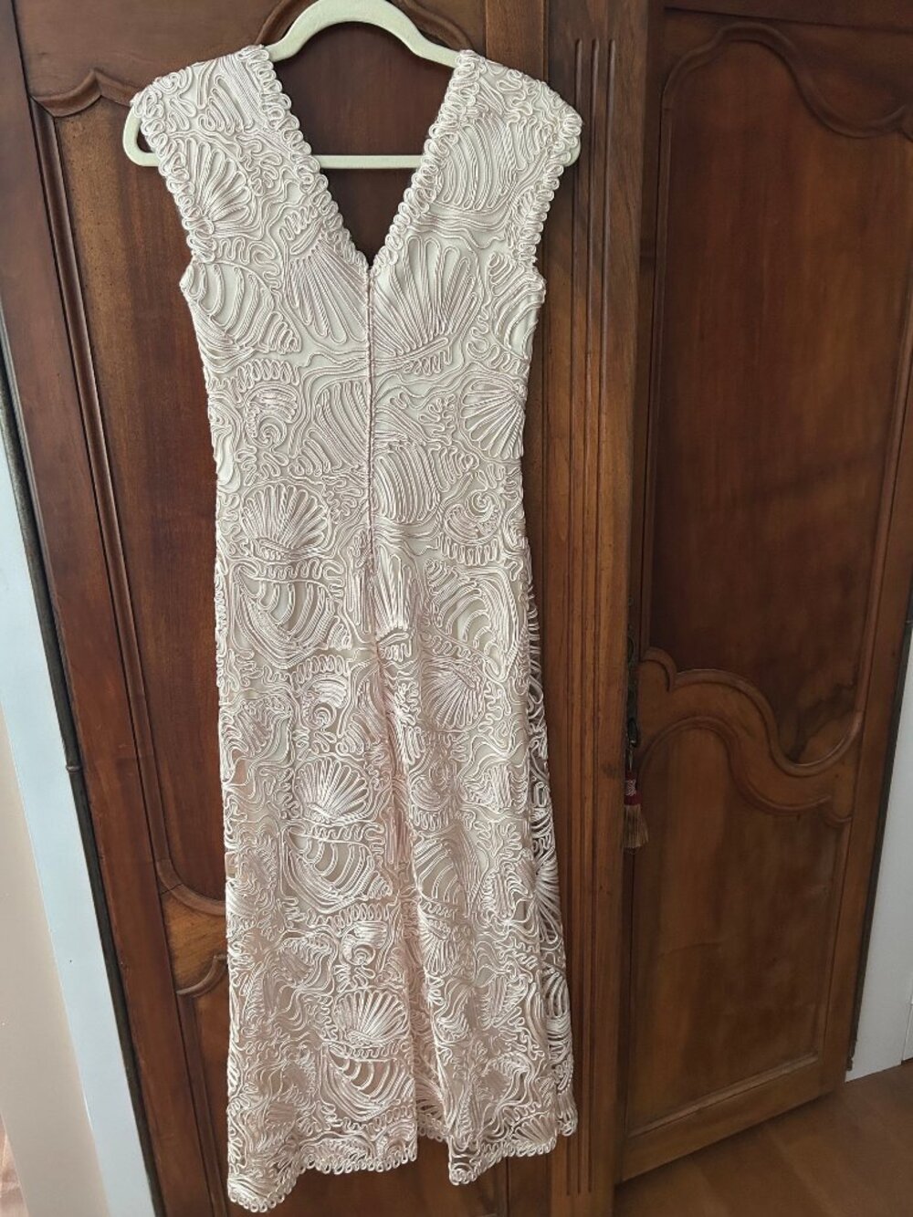 Tadashi Shoji Passementerie Pedal Bloom Gown, size 2